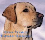 Canes Venatici Labs