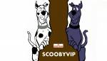 Canil De Scoobyvip