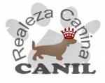 Realeza Canina