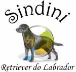 Sindini Kennel