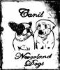 Neverland Dogs