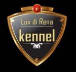Lux Di Rena Kennel