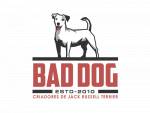Bad Dog