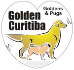 Canil Golden Curitiba