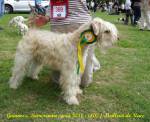 Canil Da Wheaten Terriers