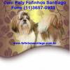 Canil Paty Fofinhos Santiago