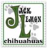 Canil Jack Lemon