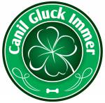 Canil Gluck Immer