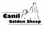 Canil Golden Sheep