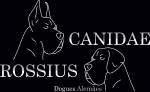 Canil Rossius Canidae