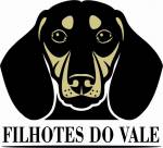 Filhotes Do Vale