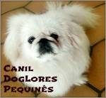 Pequins Canil Doglores