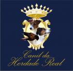 Canil Da Herdade Real