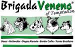 Brigada Veneno