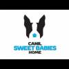 Canil Sweet Babies Home