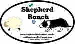 Shepherd Ranch Kennel