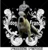 Canil Bulldog Francs Bh