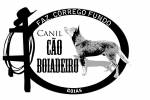 Canil Co Boiadeiro