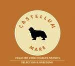 Castellum Mare