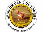 :.criador Canil De Torres.: