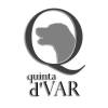 Quinta Dvar