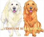 Canil Vnnus De Millo Kennel