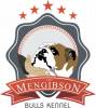 Mengibson Bulldogs
