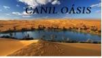 Canil Oasis