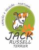 Jack Russell Terrier Portugal