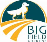 Big Field Goldens