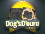 Dog S D Ouro