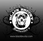 Black Brucky