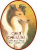 Canil Colliebliss