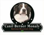 Canil Berner Monaly
