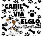 Canil Via Elglo