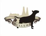 Bullema Bull Terriers