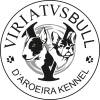 Viriatusbull D Aroeira  Kennel