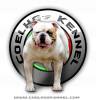 Coelhos Kennel