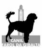 Canil Farol Da Gibalta