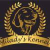 Miladys Kennel