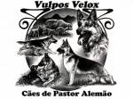 Vulpos Velox