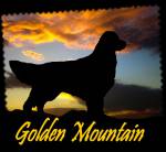 Golden Mountain Kennel