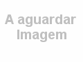 Canil dustin le baron