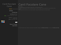 Canil CANIL FOCOLARE CANE