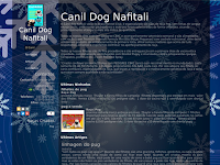 Canil canil dog nafitali