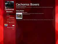 Canil cachorros boxers