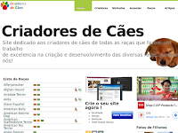 Canil BOSTON TERRIER PUPPIES